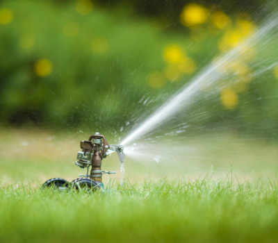 spraying the lawn